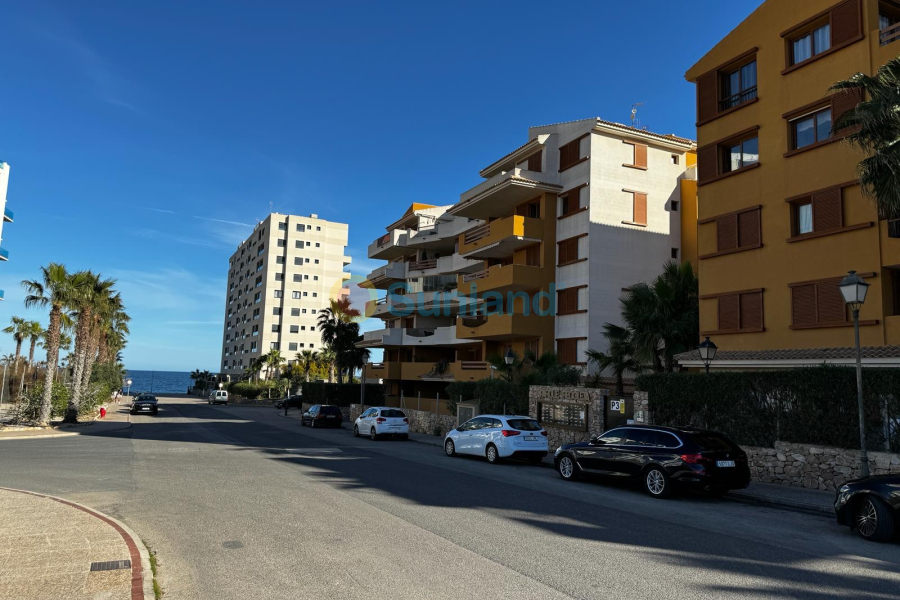 Segunda mano - Apartamento - Orihuela Costa - Punta Prima