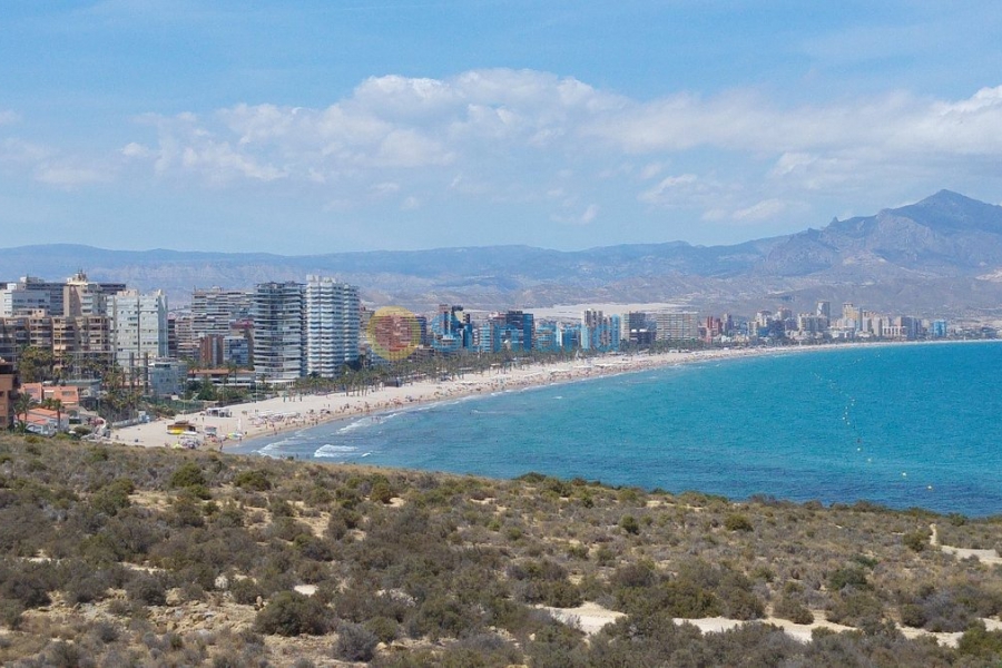 Ny bygg - Takvåning - San Juan Alicante - Fran espinos