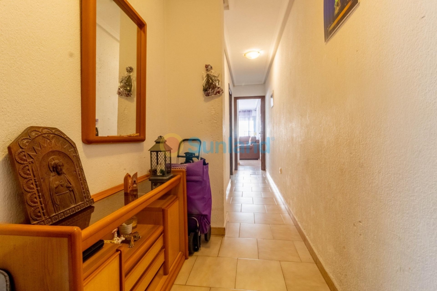 Använda fastigheter - Lägenhet - Torrevieja - La Mata pueblo