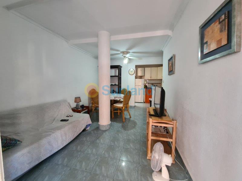Använda fastigheter - Lägenhet - La Mata - Puerto Romano