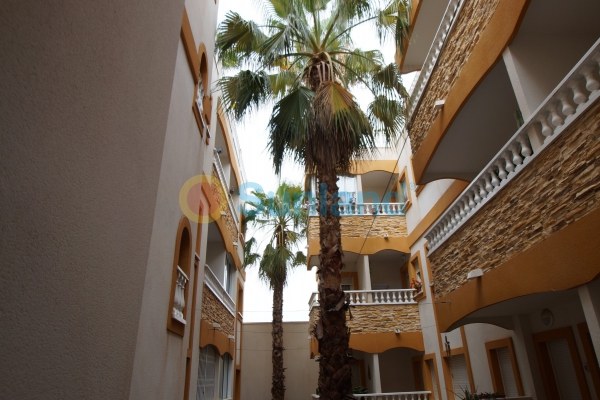 Long time Rental - Apartment - Formentera del Segura - 