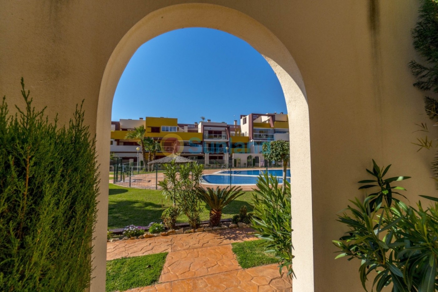 Verkauf - Penthouse - Orihuela Costa - Playa Flamenca