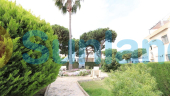 Använda fastigheter -  - Torrevieja - Lago jardin