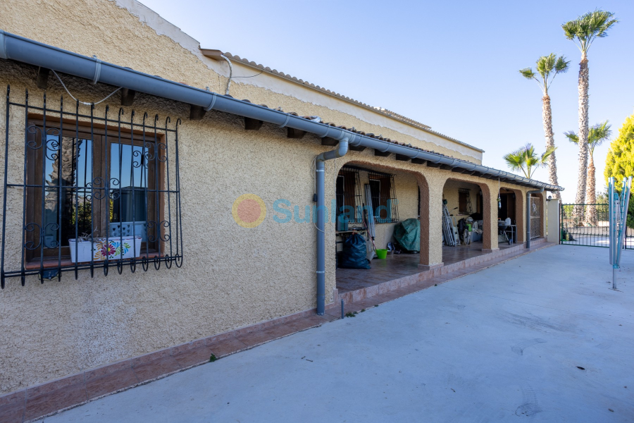 Verkauf - Finca / Country Property - Orihuela - La Matanza