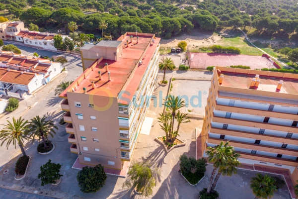 New Build - Apartment - Guardamar del Segura - Playa