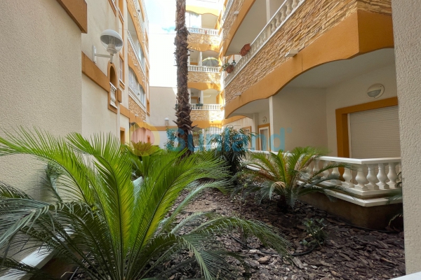 Verkauf - Apartment - Formentera del Segura - Pueblo
