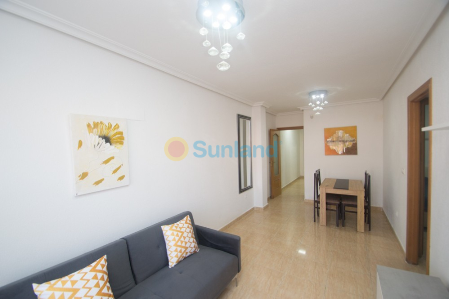 Segunda mano - Apartamento - Orihuela - San Isidro