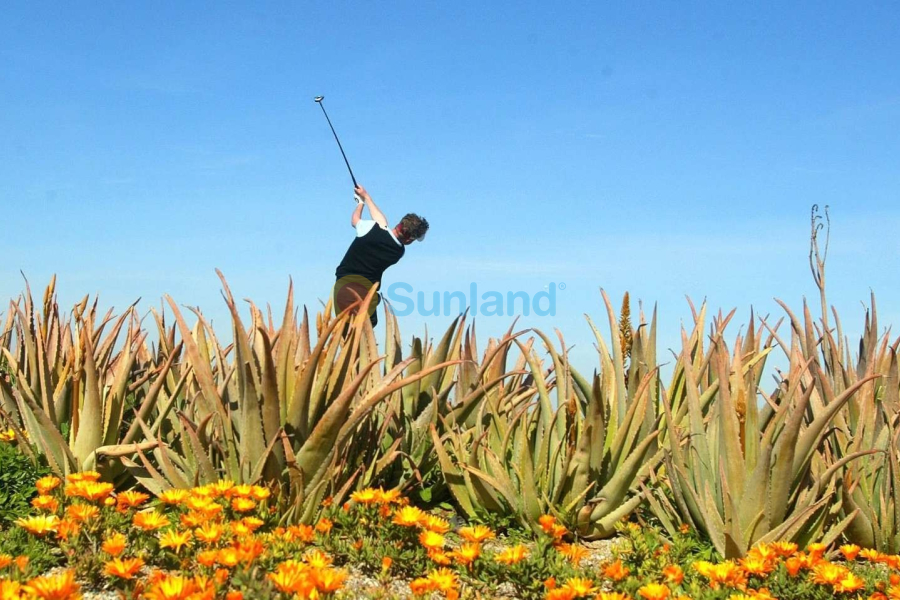 Ny bygg - Villa - Cuevas del Almanzora - Villaricos