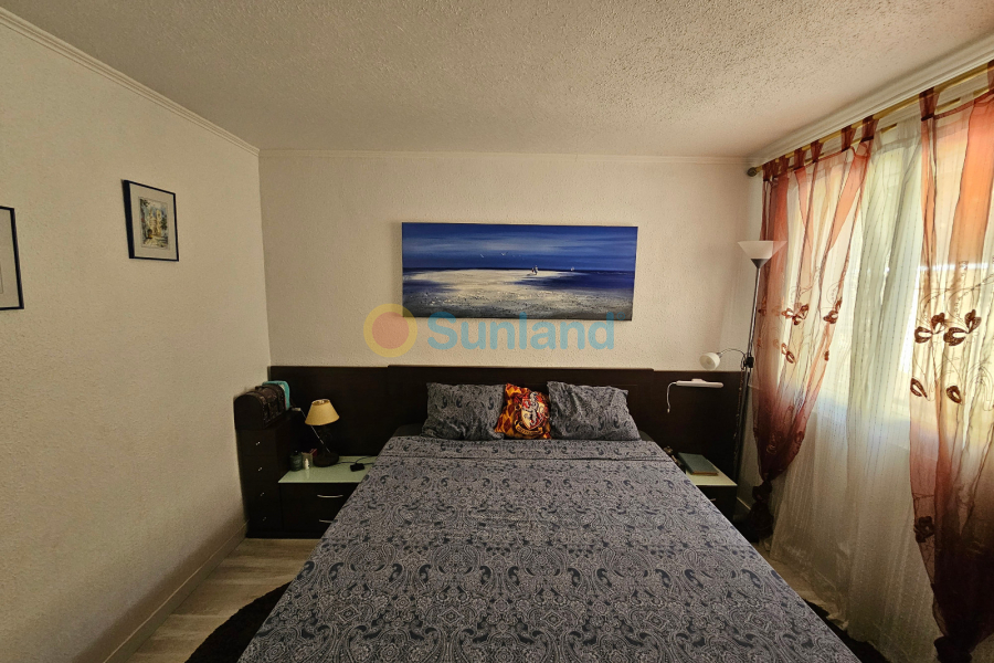 Använda fastigheter - Villa - Los Altos - Royal Park