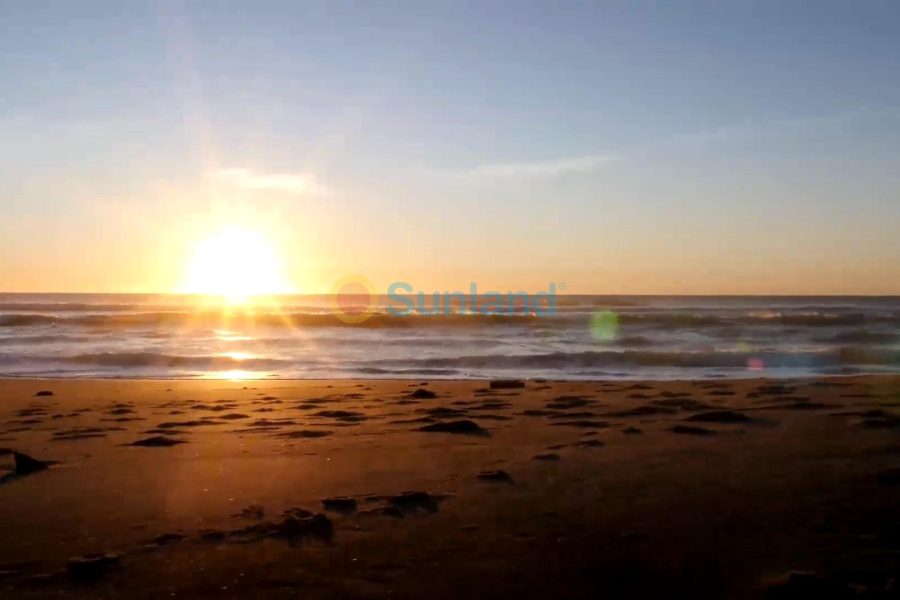 New Build - Ground floor apartment - Torrevieja - Centro