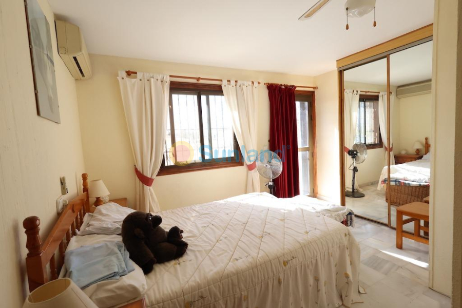 Segunda mano - T - San Miguel De Salinas - Villamartín