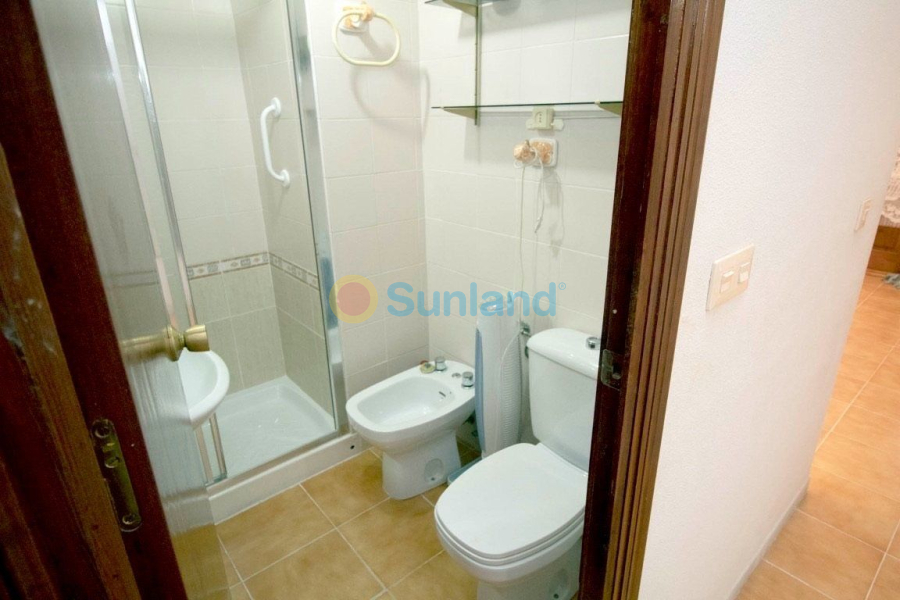 Använda fastigheter - Apartamento - Torrevieja - La Mata