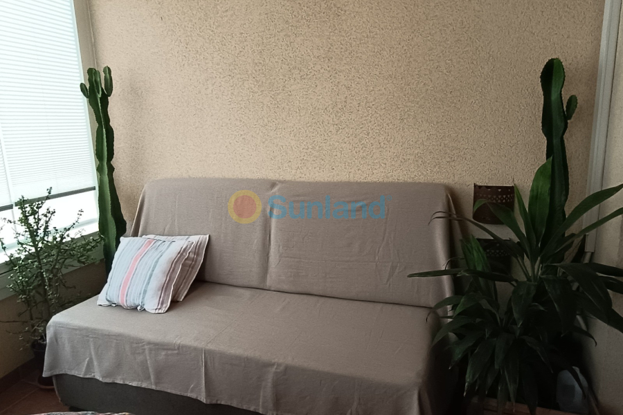 Segunda mano - Apartamento - Orihuela Costa - Dehesa De Campoamor