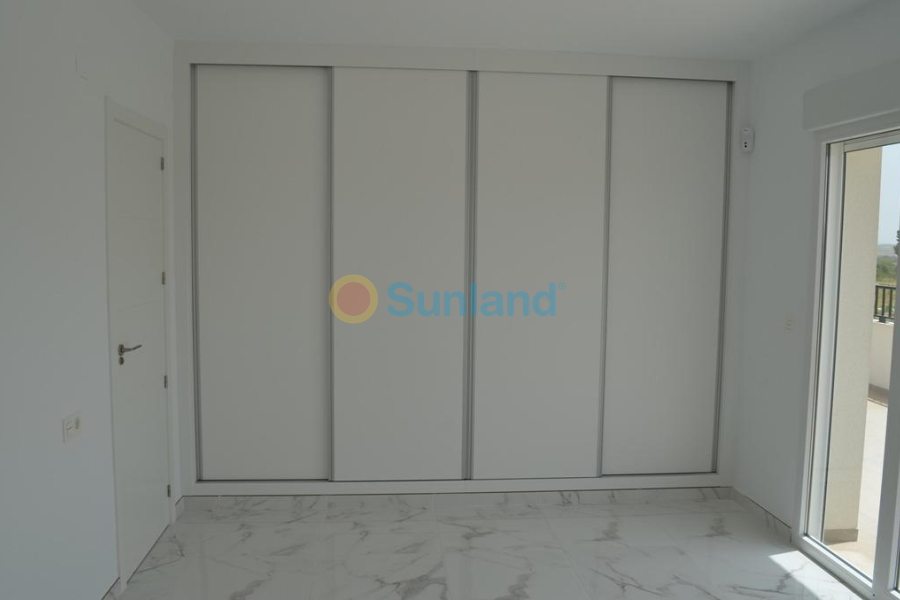 New Build - Villa - Pinoso - Camino Del Prado