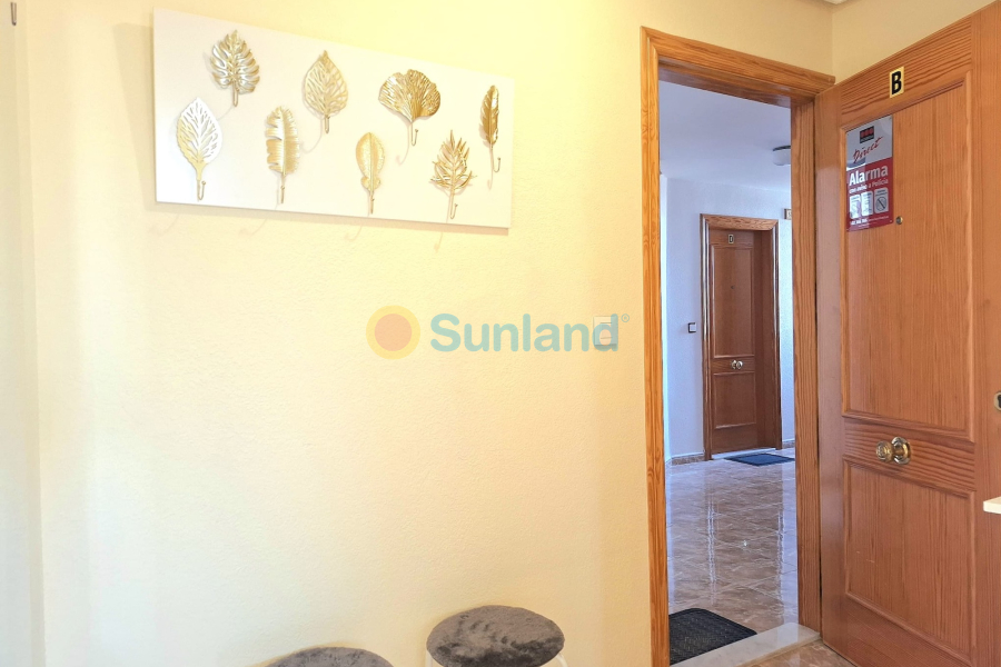 Brukte eiendommer - Apartamento - Torrevieja - Centro