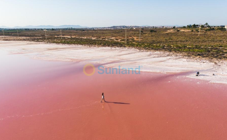 Ny bygg - Leilighet - Torrevieja - Habaneras