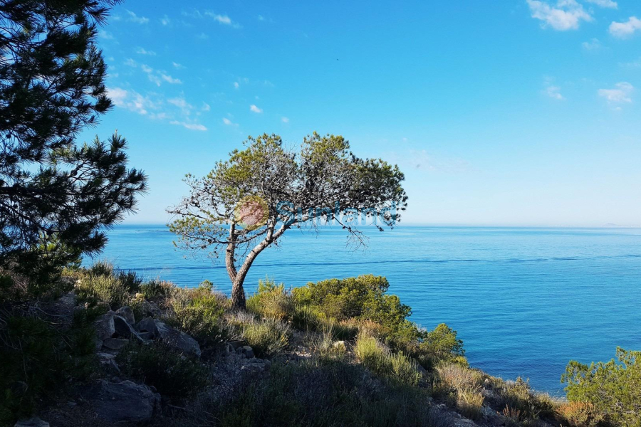 Nueva construcción  - Apartamento - Villajoyosa - Playa Les Torres