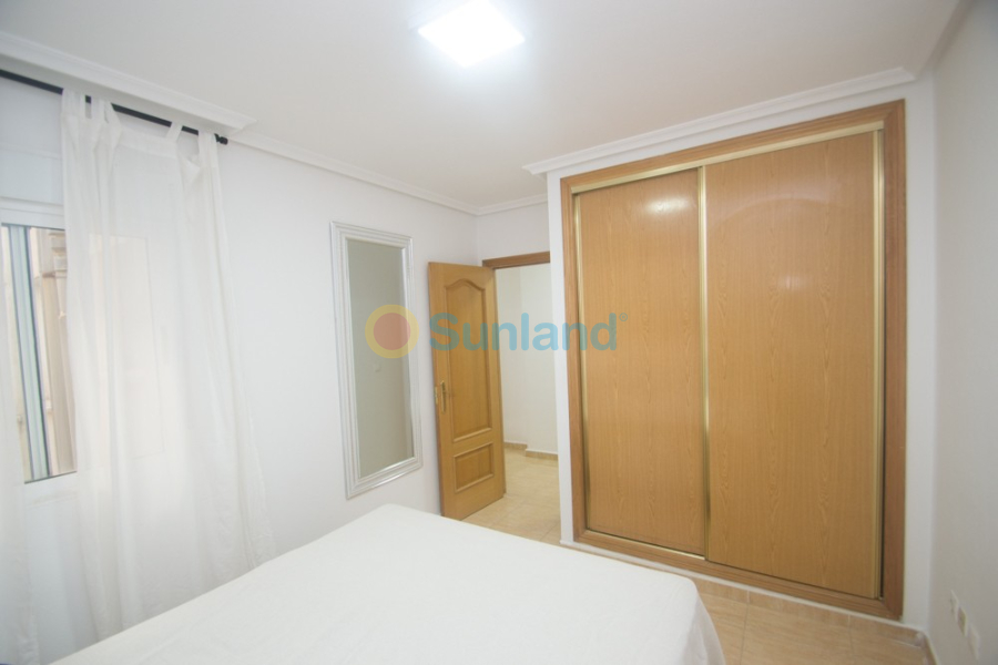 Segunda mano - Apartamento - Orihuela - San Isidro