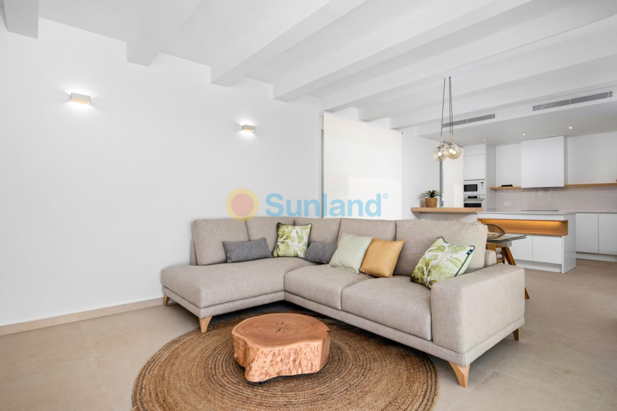 Nueva construcción  - Chalet - Benijofar - Centro