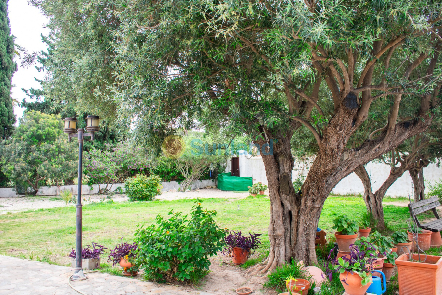 Använda fastigheter - Villa - Orihuela Costa - Cabo Roig