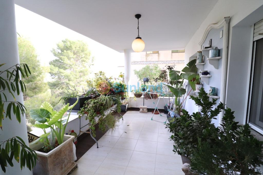 Segunda mano - V - Pilar de la Horadada - Pinar de Campoverde