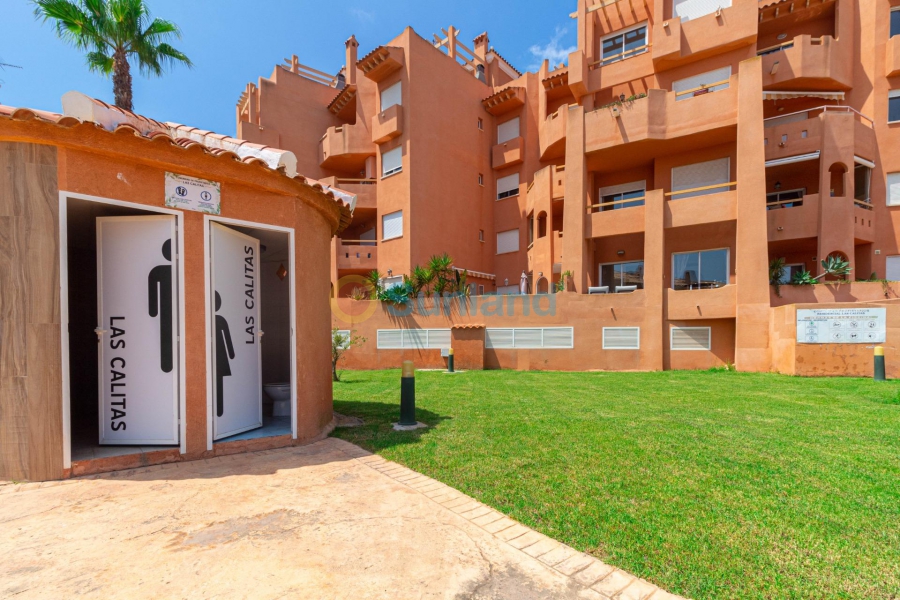 Använda fastigheter - Duplex - Orihuela Costa - Campoamor