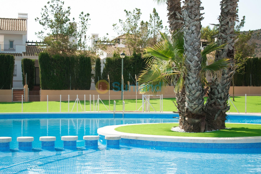 Ny bygg - Town House - Fuente Alamo - Las Palas