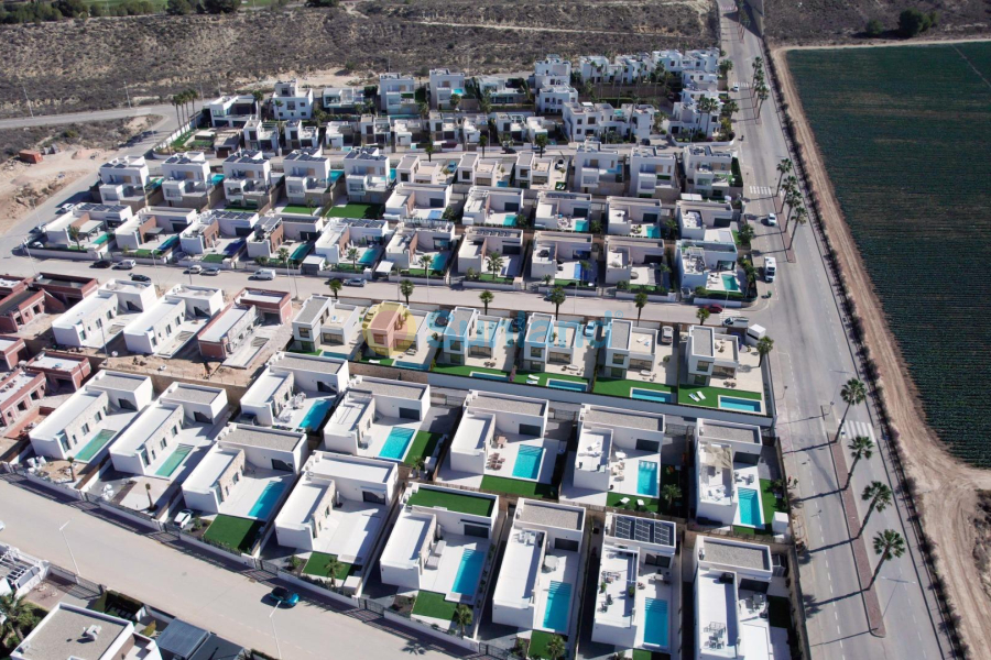 New Build - Villa - Algorfa - La finca golf