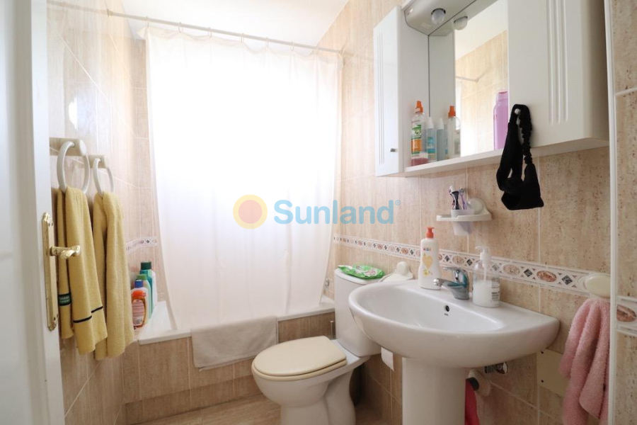 Segunda mano - A - Orihuela Costa - Campoamor