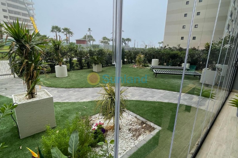 Segunda mano - Apartamento - Torrevieja - Punta Prima