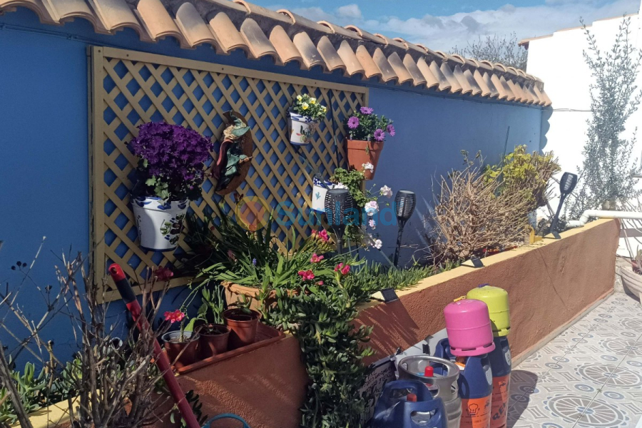 Verkauf - Haus - Orihuela - La Florida