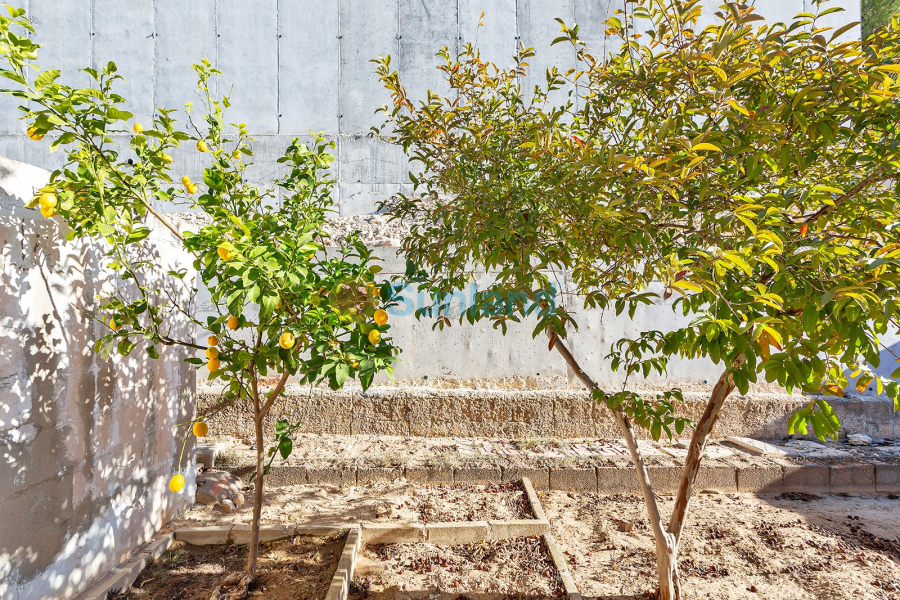 Resale - Villa - Torrevieja - 