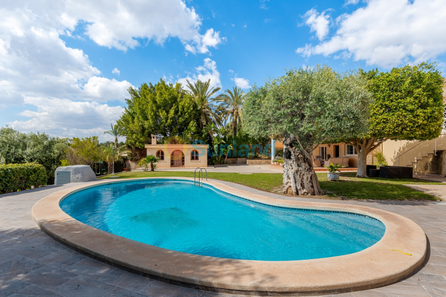 Segunda mano - Chalet - Elche/Elx