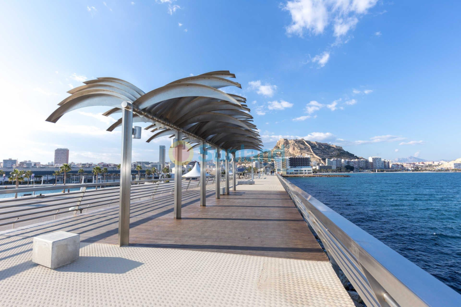 New Build - Apartment - ALICANTE - Centro