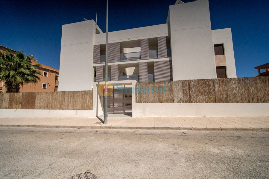 Segunda mano - Ático - Orihuela Costa - PAU 8