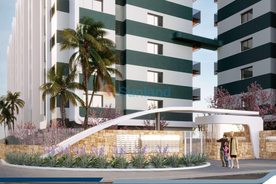 Новостройка - Пентхаус - Torrevieja - Punta Prima