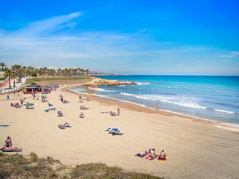 Ny bygg - Toppleilighet - Orihuela Costa - Playa Flamenca