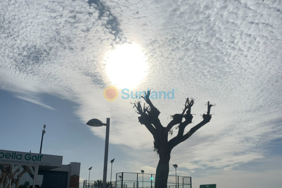 Вторичка - Apartment Penthouse - Entre Naranjos - Vistabella - Entre Naranjos