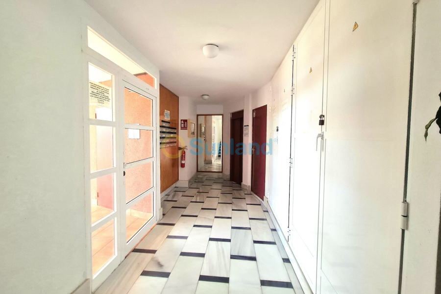 Brukte eiendommer - Apartamento - Torrevieja - Centro