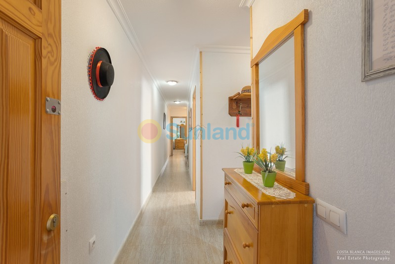 Segunda mano - Apartment / flat - Los Montesinos