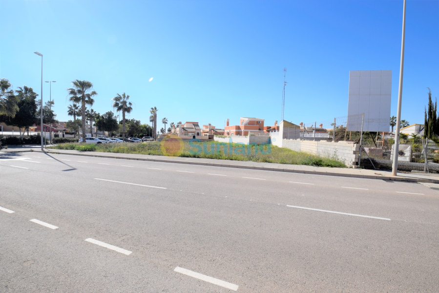 Segunda mano - Land - Guardamar del Segura - El Raso