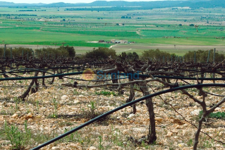 New Build - Villa - Yecla