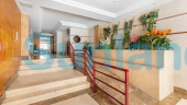 Resale - Apartment - Flat - La Mata - Playa