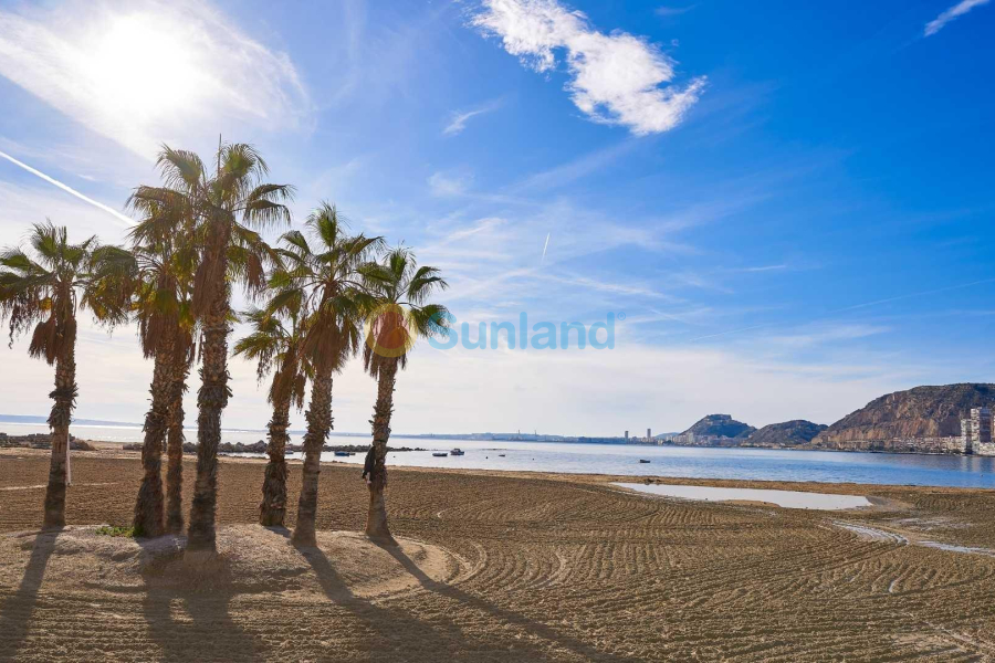 New Build - Semidetached - Els Poblets - Partida Barranquets