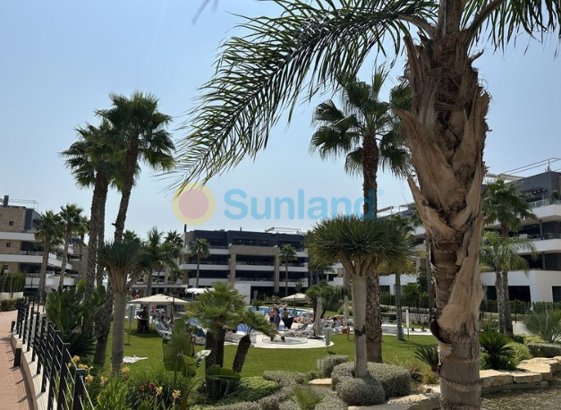 Brukte eiendommer - Leilighet - Orihuela Costa - Playa Flamenca