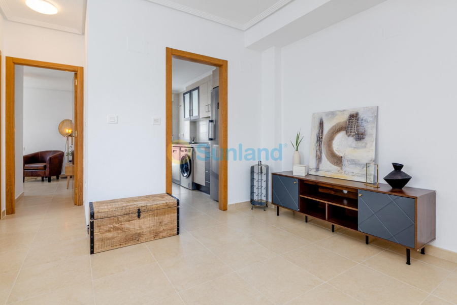 Ny bygg - Villa - San Fulgencio - El Oasis