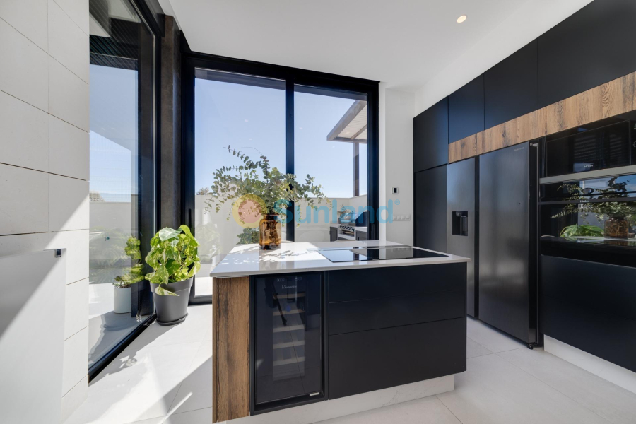 Ny bygg - Villa - Pilar de la Horadada - Roda Golf