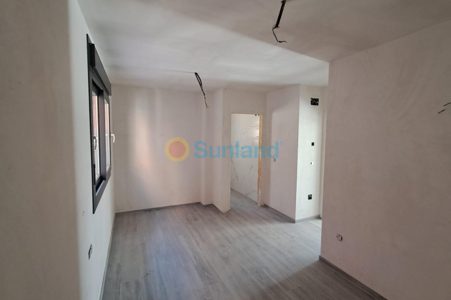 Ny bygg - Villa - Pilar de la Horadada