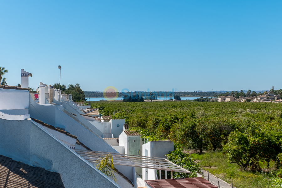 Segunda mano - Adosado - Ciudad Quesada - Pueblo Bravo