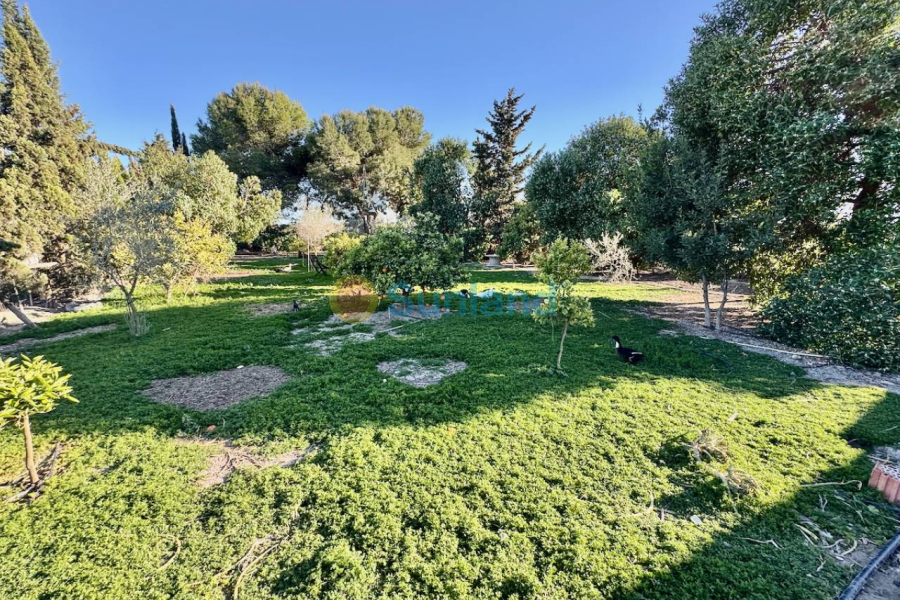 Resale - Country house - Guardamar del Segura - 